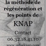 stage_ete_knap_2015_affiche