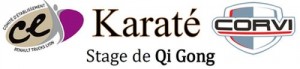 corvi_karate_bis